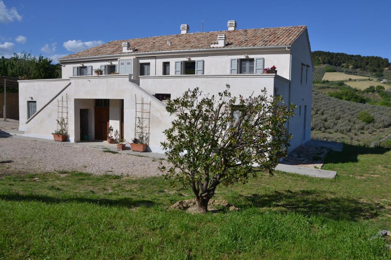 B&B Casale Fonte Vecchia มอนเตปรันโดเน ภายนอก รูปภาพ