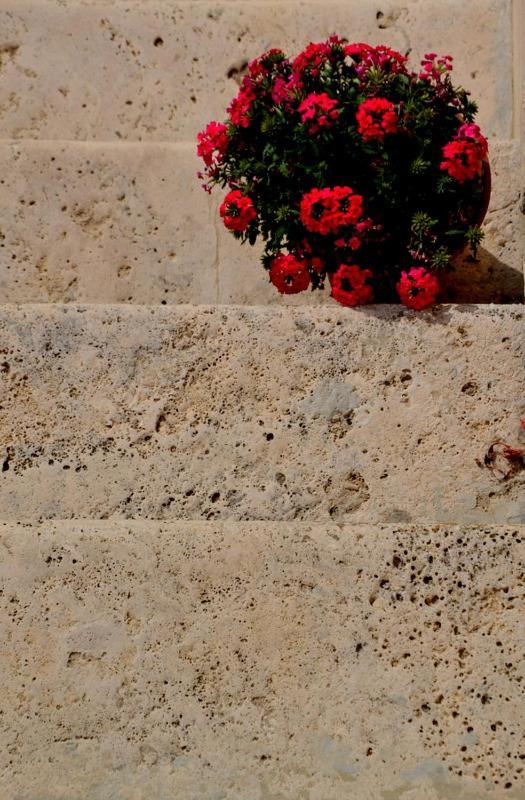 B&B Casale Fonte Vecchia มอนเตปรันโดเน ภายนอก รูปภาพ