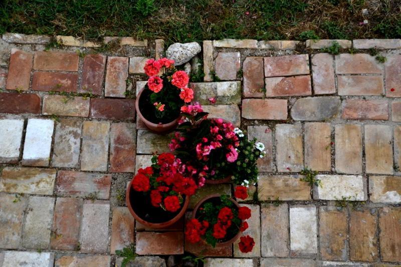 B&B Casale Fonte Vecchia มอนเตปรันโดเน ภายนอก รูปภาพ