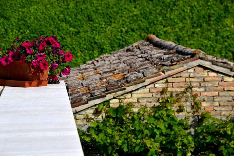 B&B Casale Fonte Vecchia มอนเตปรันโดเน ภายนอก รูปภาพ