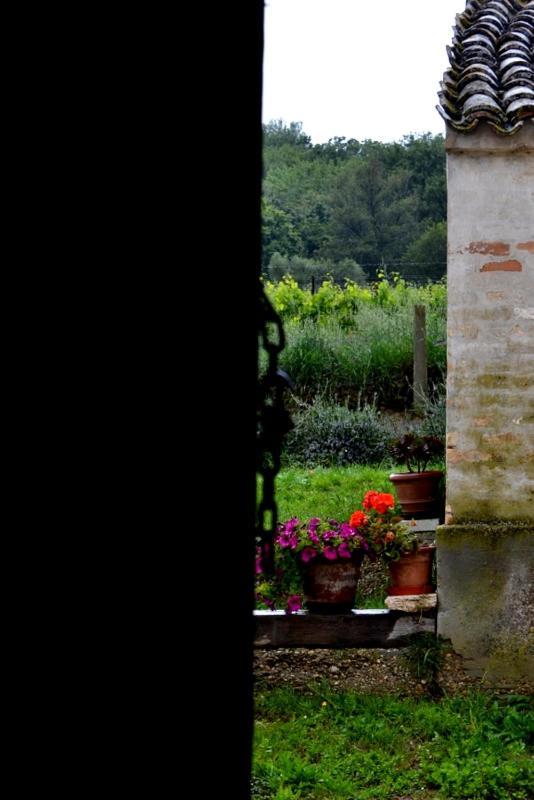 B&B Casale Fonte Vecchia มอนเตปรันโดเน ภายนอก รูปภาพ