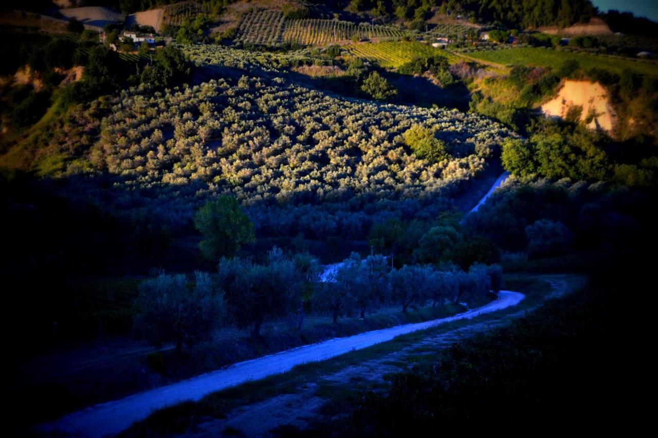 B&B Casale Fonte Vecchia มอนเตปรันโดเน ภายนอก รูปภาพ