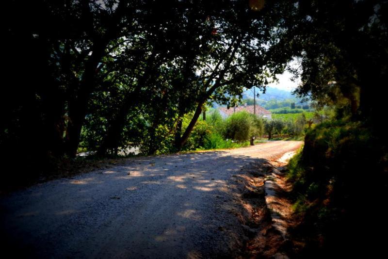 B&B Casale Fonte Vecchia มอนเตปรันโดเน ภายนอก รูปภาพ